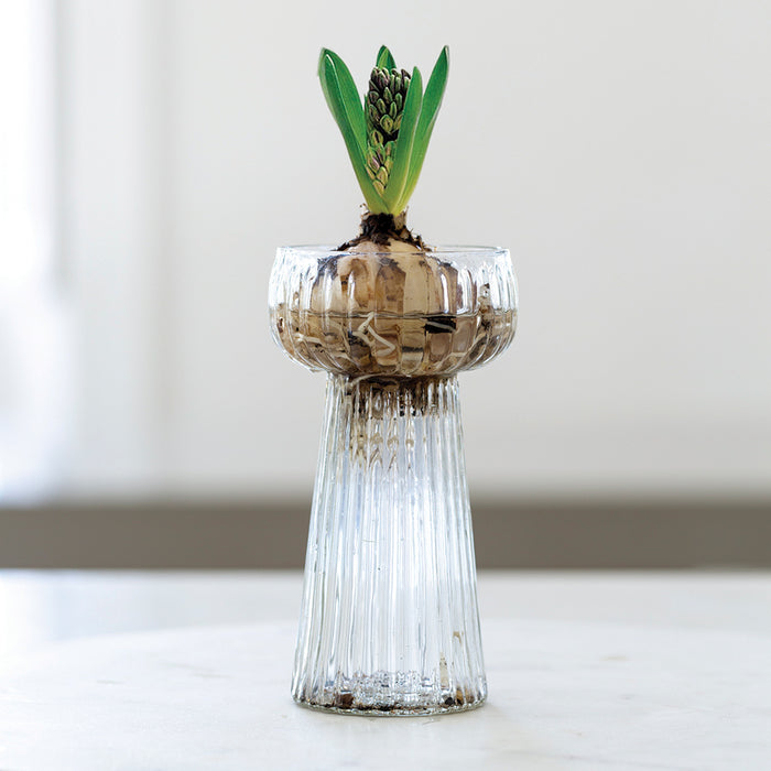 Ribbed Glass Vase