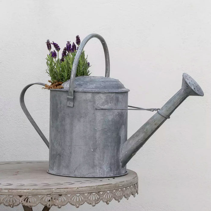 Zinc Watering Can