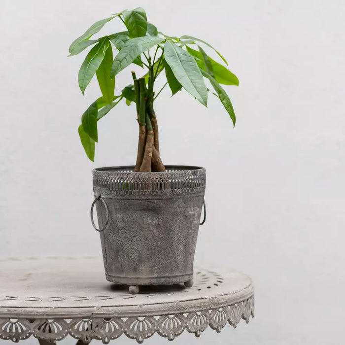 Ornate Zinc Planter