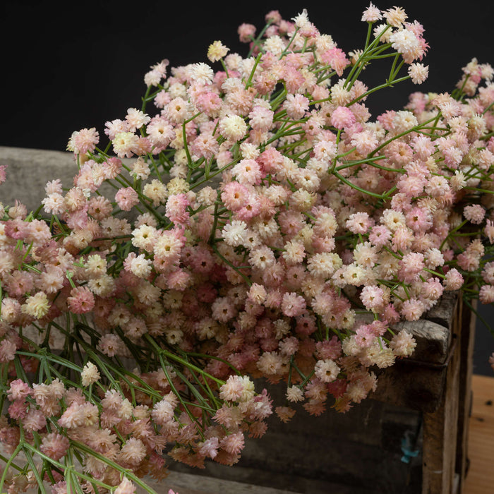 Artificial Pink Gypsophila (Babys Breath)  - 3 Stems