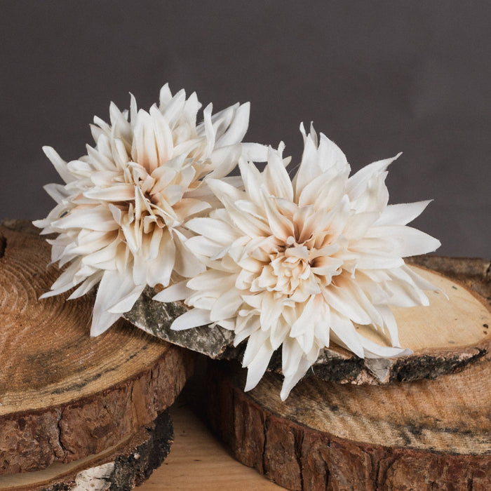 Cafe au Lait Dahlia