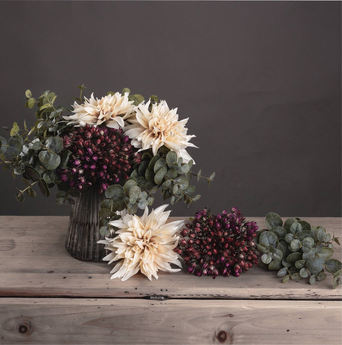 Cafe au Lait Dahlia