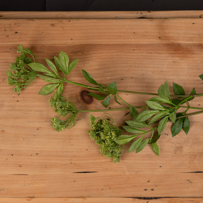 Artificial Ammi Majus Stem