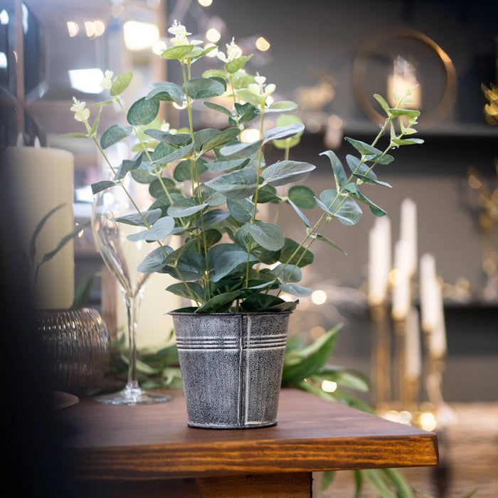 Artificial Eucalyptus in Little Tin Pot