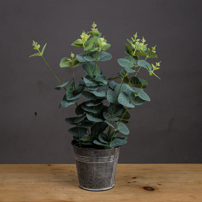 Artificial Eucalyptus in Little Tin Pot