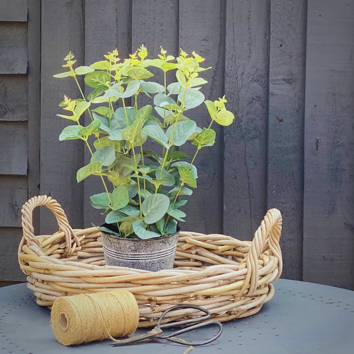 Artificial Eucalyptus in Little Tin Pot