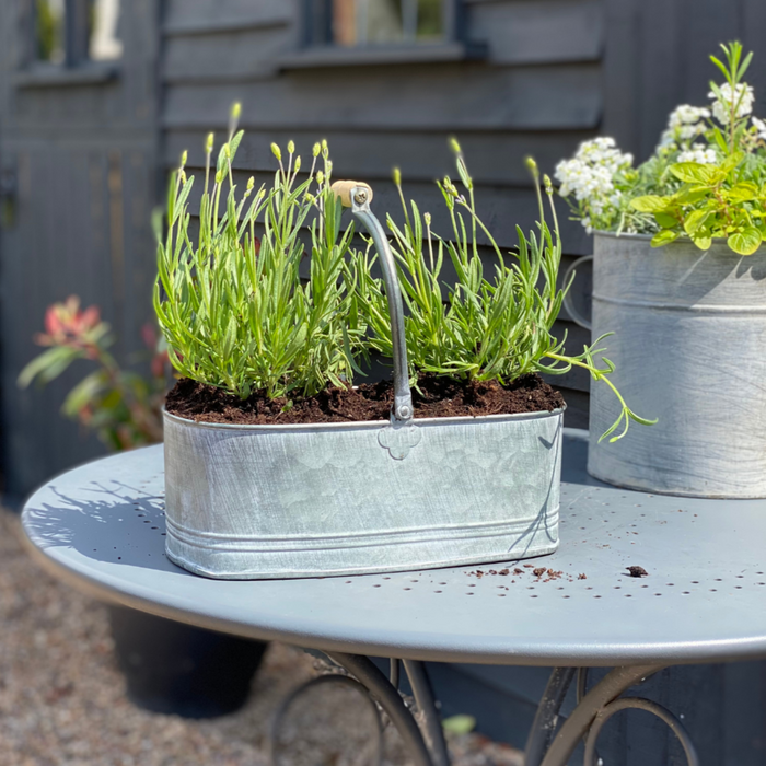 Zinc Planter with Handle