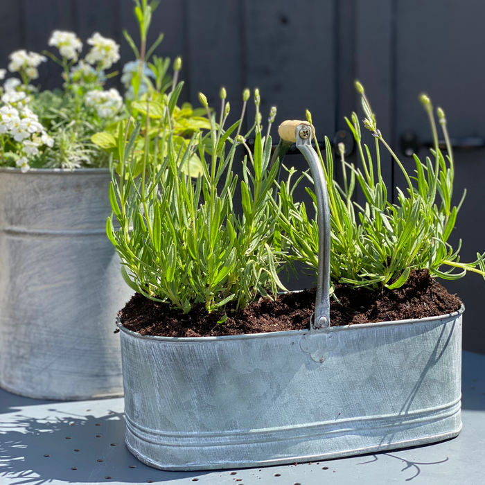 Zinc Planter with Handle