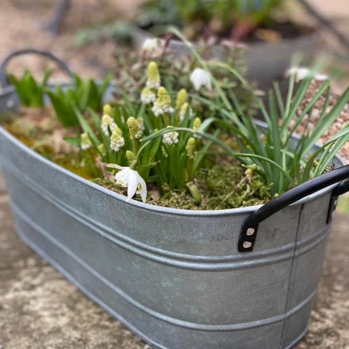 Oval Zinc Planters