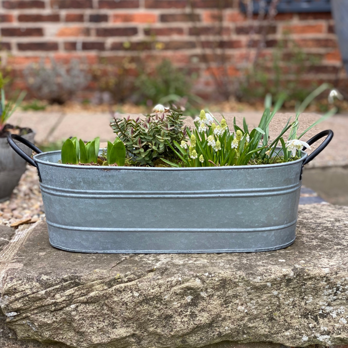 Oval Zinc Planters