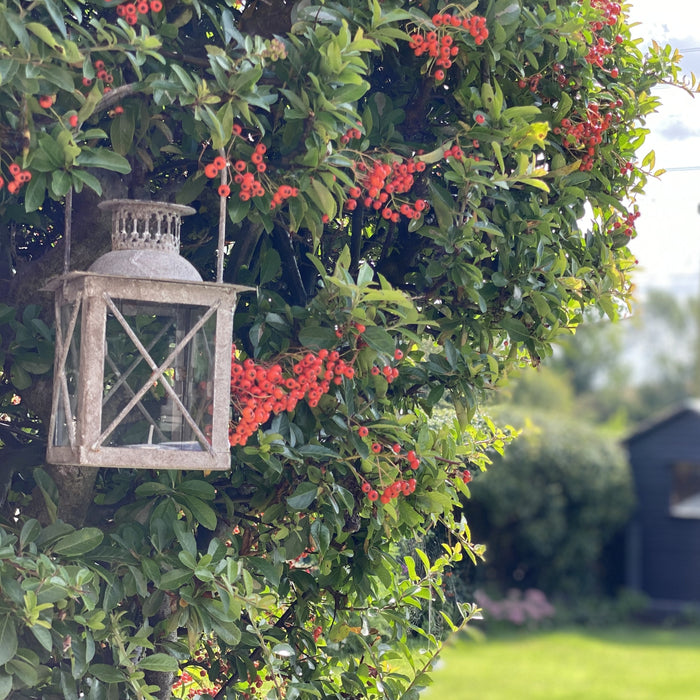 Vintage Metal Lantern