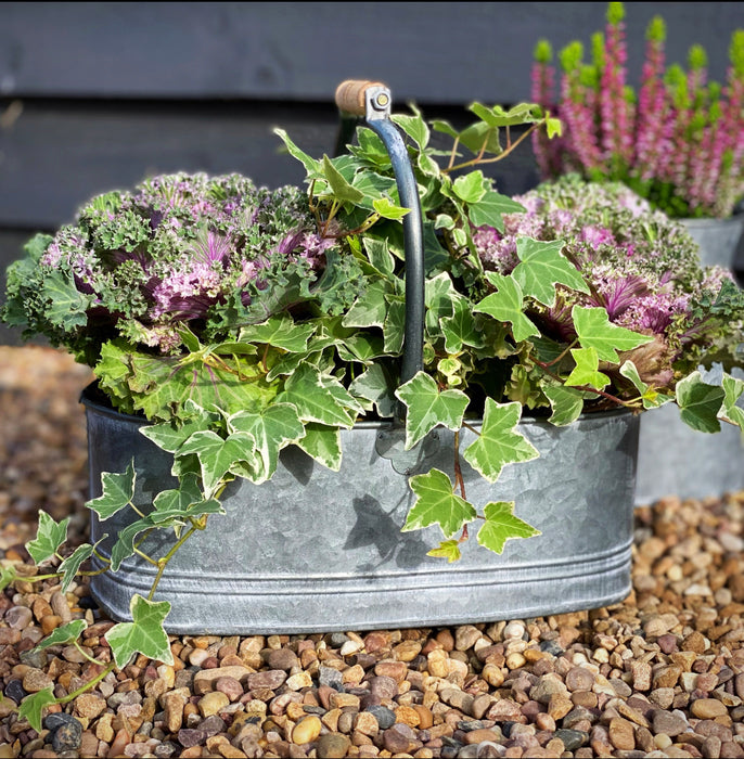 Zinc Planter with Handle