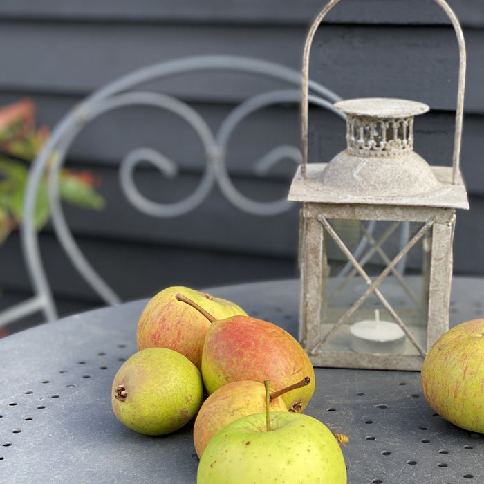 Vintage Metal Lantern