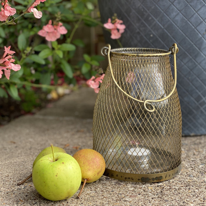 Antique Brass Mesh Hanging Lantern