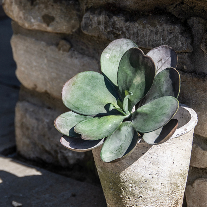 Artificial Succulent Plant