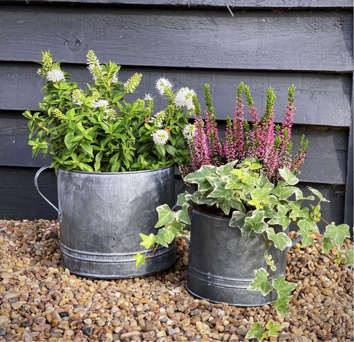 Cromford Zinc Planters - Set of 2